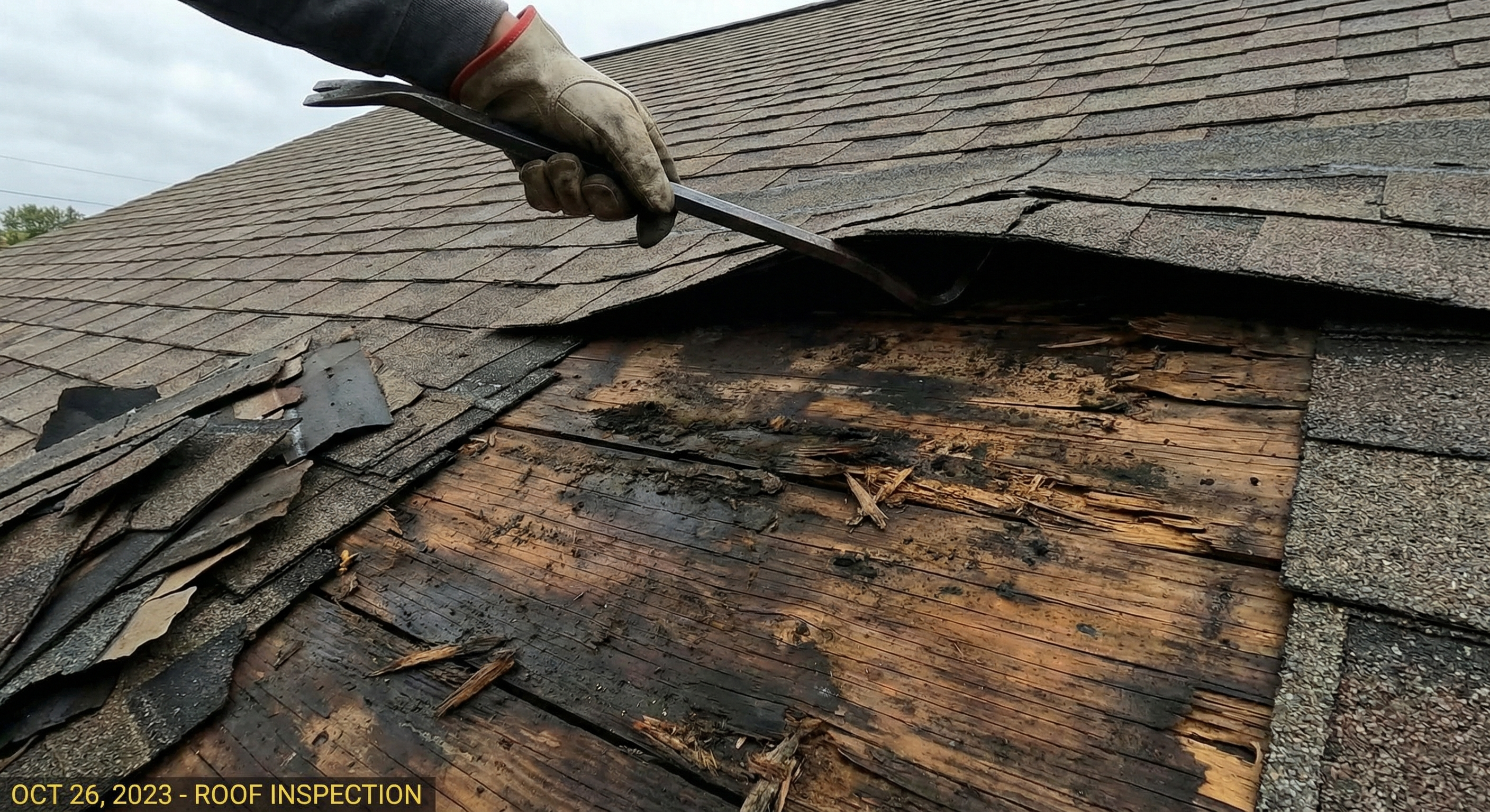 Rotted roof deck requiring full replacement in Gainesville FL - Carr-Palmer Roofing